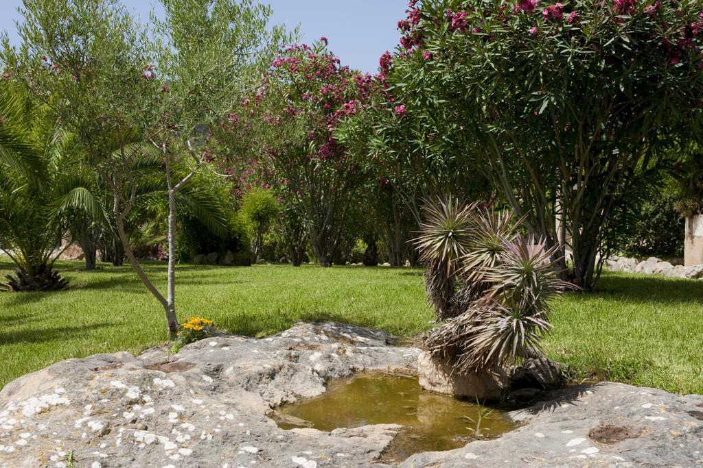 Agroturismo Can Patro Casa de hóspedes Manacor  Exterior foto