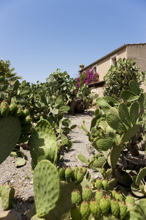 Agroturismo Can Patro Casa de hóspedes Manacor  Exterior foto