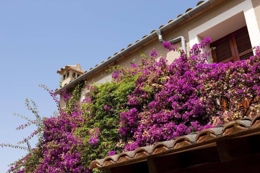 Agroturismo Can Patro Casa de hóspedes Manacor  Exterior foto